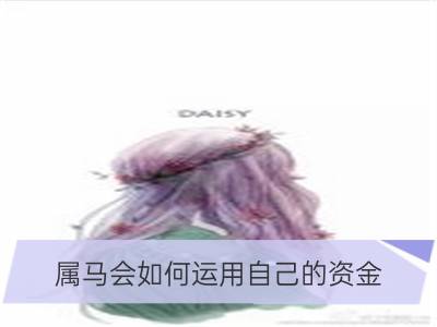 属马会如何运用自己的资金