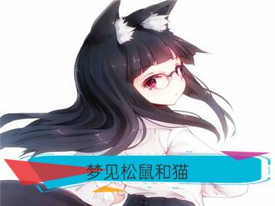 梦见松鼠和猫_梦见松鼠